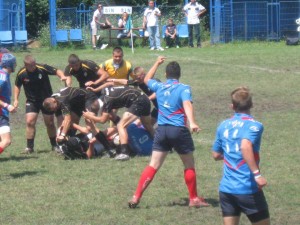 cleo-steaua